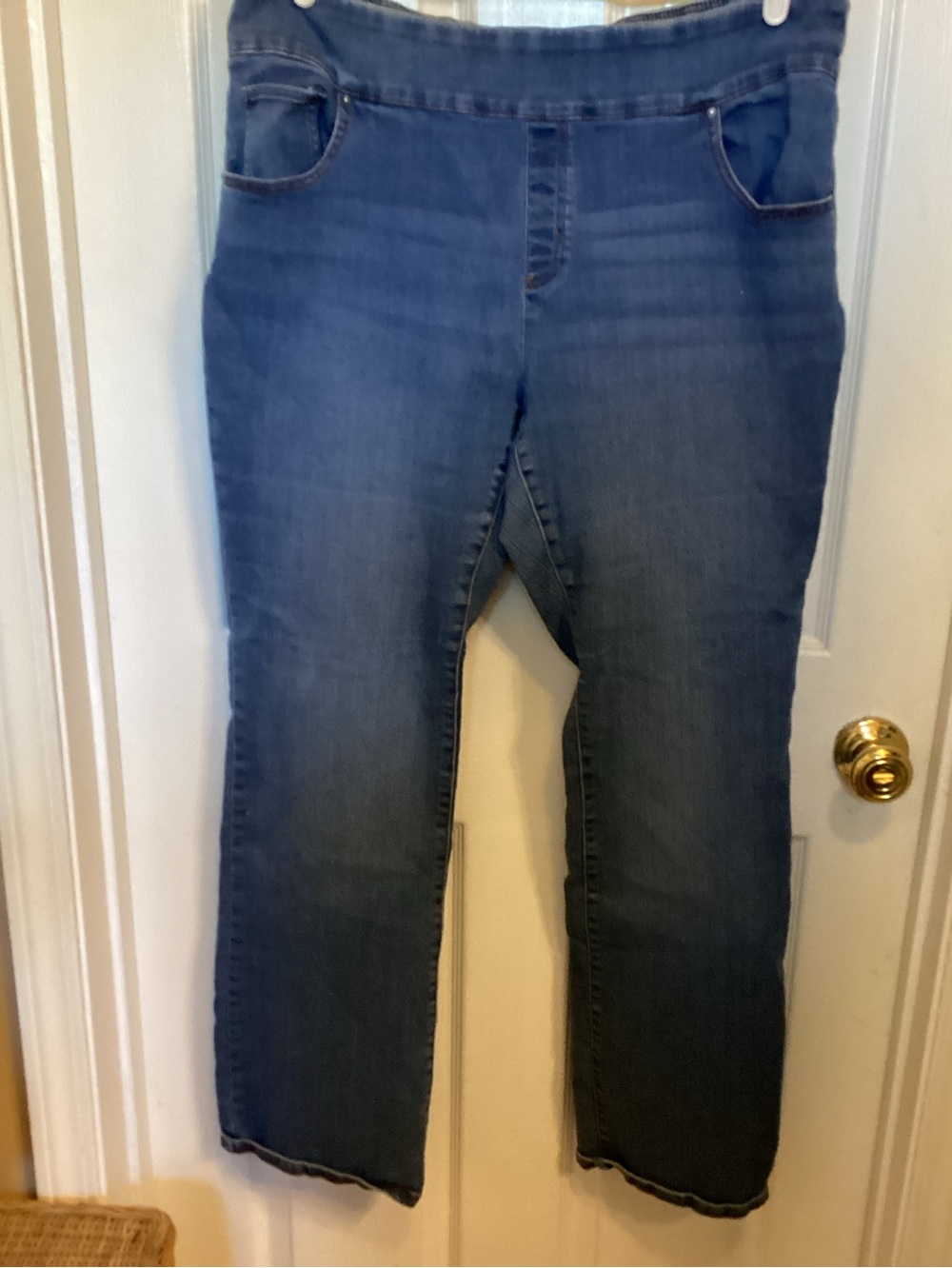 The Pioneer Woman Blue Straight Leg Women's Jeans